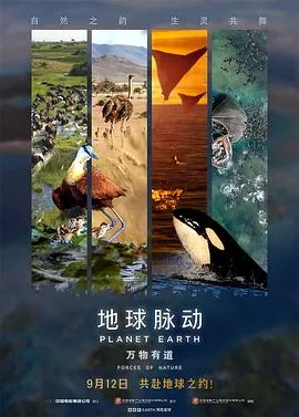 地球脉动：万物有道预告片